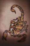 scorpion tattoo