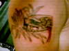 Snake in the grass tattoo