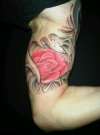 rose organica tattoo