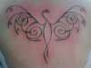 tribal phoenix tat on my back tattoo