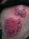 New lotus flower tattoo