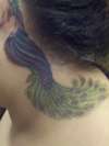 Peacock tattoo