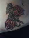 black panther ion two red roses tattoo