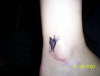 butterfly tattoo