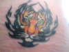 ma tiger tattoo