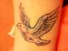 Bird , Dove tattoo