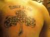 "Family Forever" Irish Knotted Shamrock tattoo