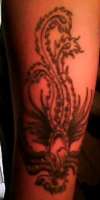 Phoenix tattoo