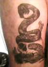 Skull and Snake tattoo