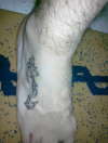 Tribal Seahorse tattoo