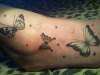 butterflies & stars tattoo