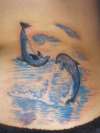 love dolphins tattoo