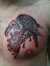 vulture / heart tattoo