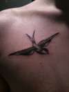 First Tattoo Chest Swallow tattoo