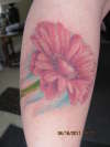 My Favorite flower tattoo
