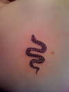 Snake tattoo