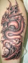 dragon fantasy black and grey tattoo