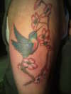 hummingbird with cherry blossoms tattoo