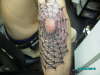 spiderweb tattoo