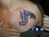 swallow tat tattoo