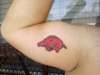 Go Hogs! tattoo