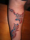 NZ map tattoo tattoo