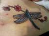 dragonfly with cherry blossoms tattoo