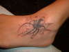 spider tattoo
