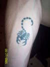 Tribal Art Scorpion tattoo