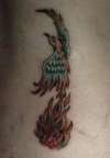 Blue Phoenix tattoo