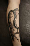 Phil Anselmo tattoo