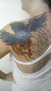 Phoenix tattoo