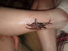 carol tattoo