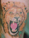 LION MEMORIUM tattoo