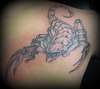 scorpion tattoo