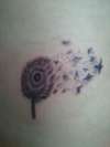 Dandelion and Birds tattoo
