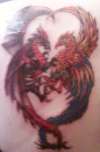 Dragon & Phoenix tattoo