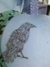 Jack the Crow tattoo