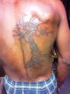 Tree tattoo