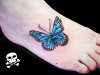 borboleta azul no pe tattoo