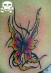 borboleta com tribal tattoo