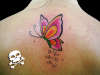 borboleta laranja tattoo