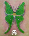 borboleta verde tattoo