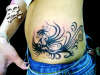 fenix cintura tattoo