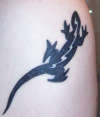 Lizard tattoo