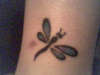 Dragonfly tattoo