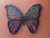 Custom Butterfly tattoo