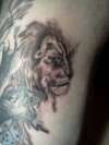 lion tattoo