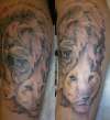 lions tattoo