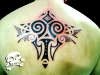maori costas tattoo